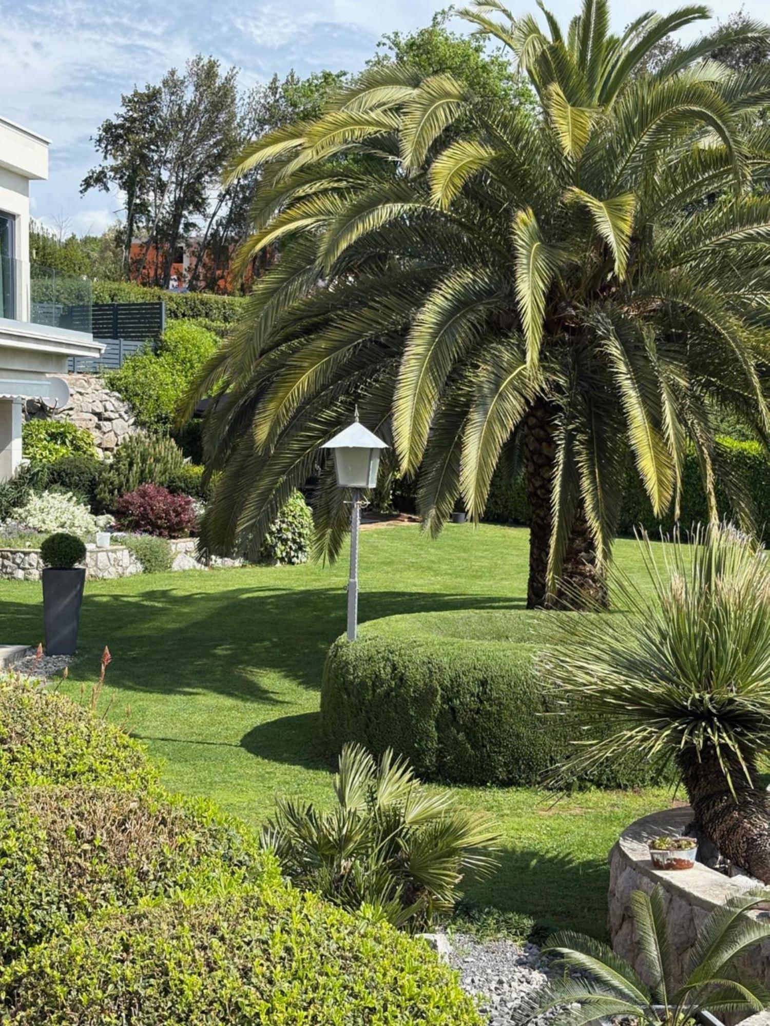 Bed And Breakfast Villa Iris Moscenicka Draga Bagian luar foto