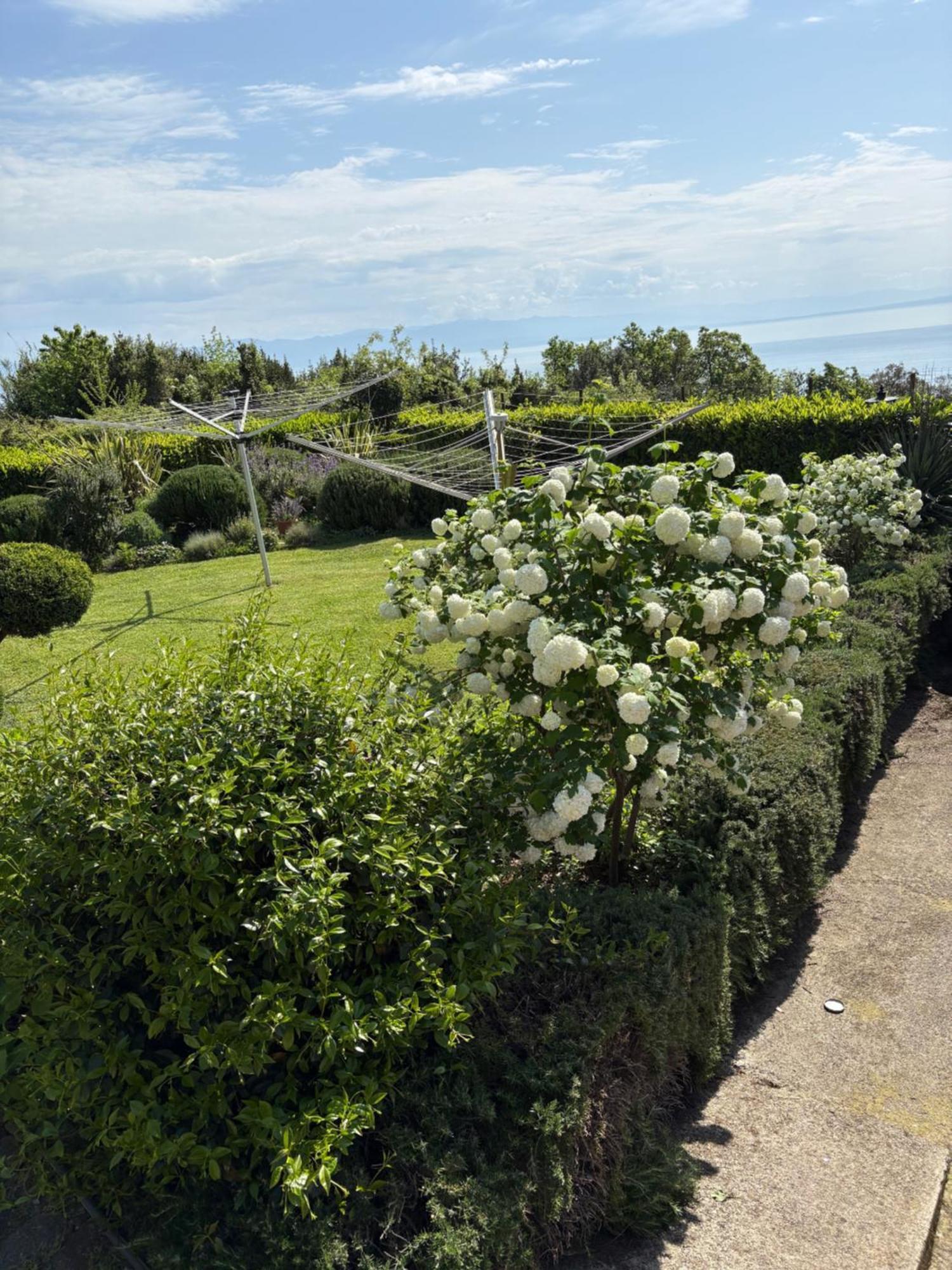 Bed And Breakfast Villa Iris Moscenicka Draga Bagian luar foto