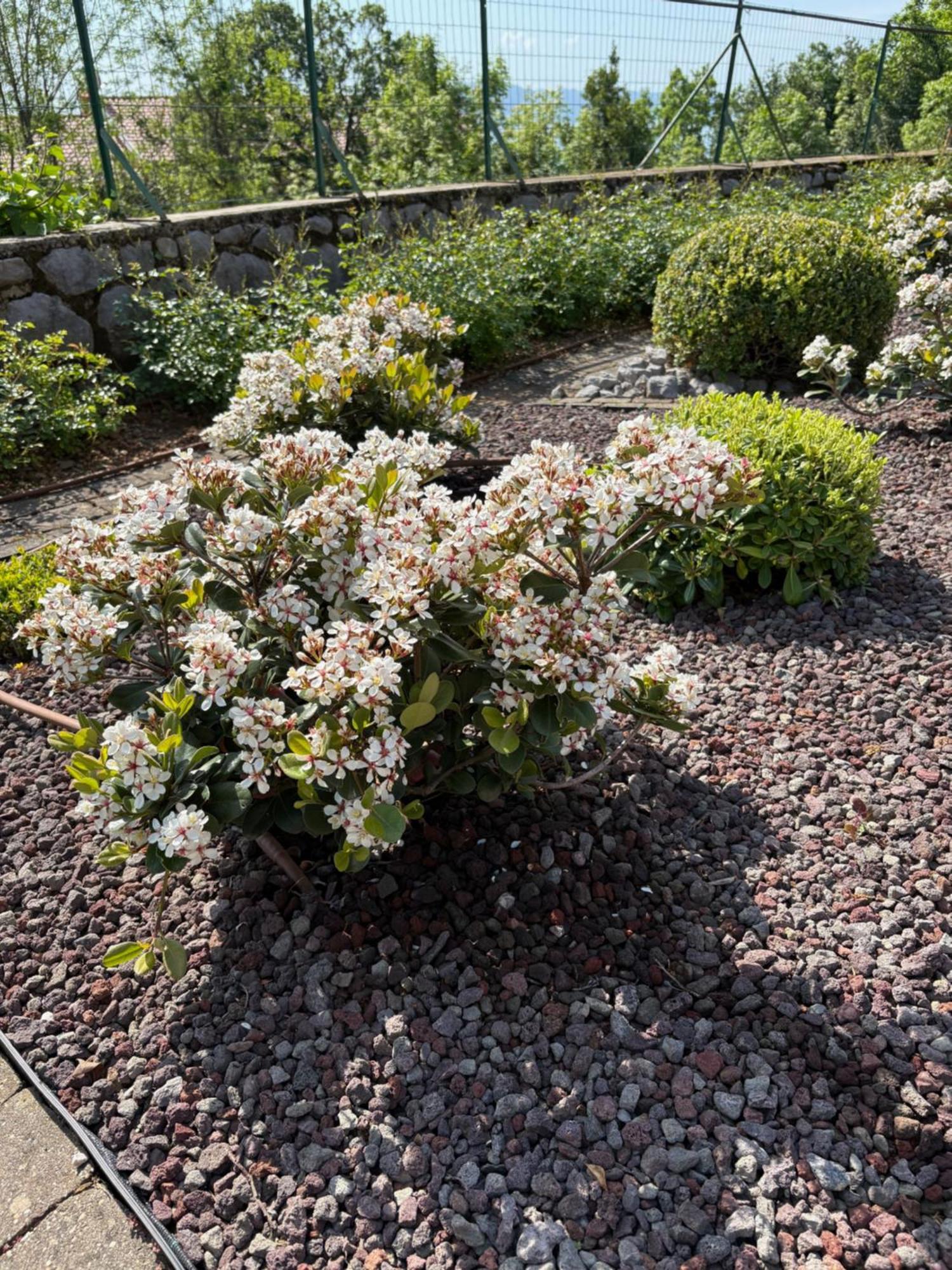 Bed And Breakfast Villa Iris Moscenicka Draga Bagian luar foto