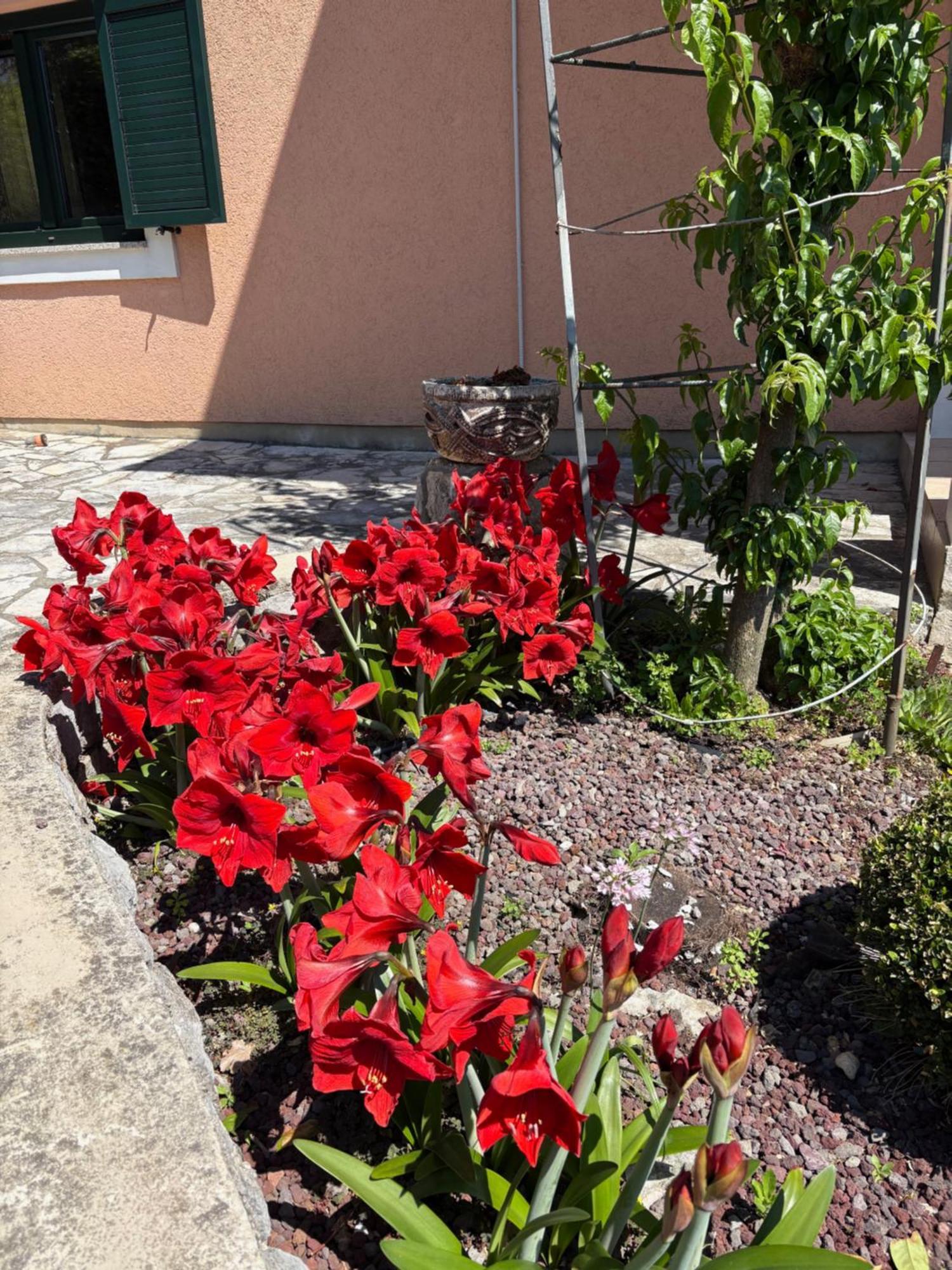 Bed And Breakfast Villa Iris Moscenicka Draga Bagian luar foto